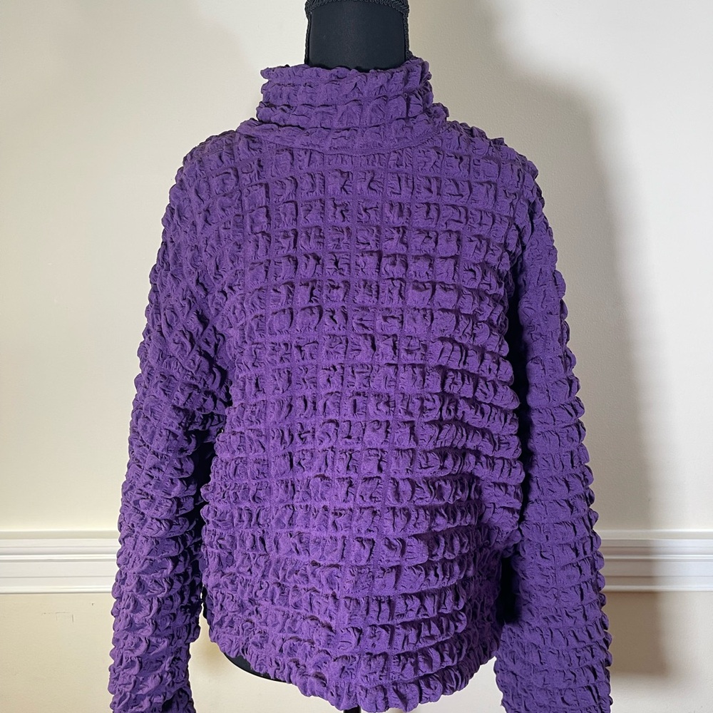Zara Deep Purple Cowl Neck Sweater